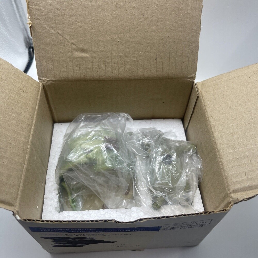 Franklin Mint Woodlands Surprises 1984 TURTLE Porcelain Figurine In Original Box - Picture 10 of 10